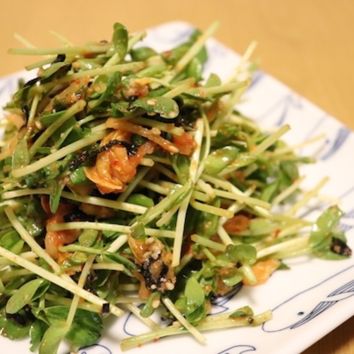 中華料理の副菜はコレ やみつき 豆苗キムチ和え レシピ 作り方 By 髙橋菜里 管理栄養士 楽天レシピ
